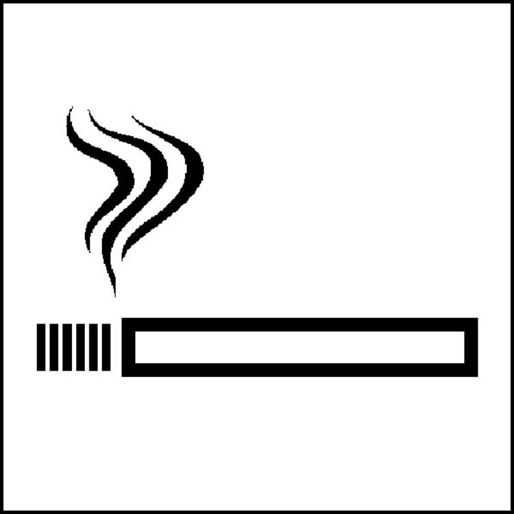 Modellbeispiel: Hinweisschild zur Betriebskennzeichnung, Rauchen gestattet (Art. 21.5093)