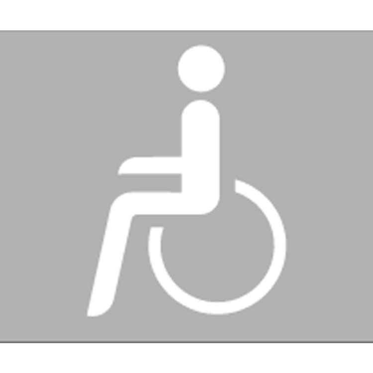 Anwendungsbeispiel: Anwendungsbeispiel: PREMARK Straßenmarkierung -Rollstuhl- (Art. 12229)