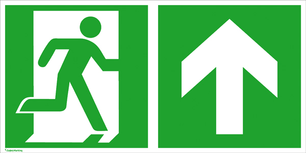 Modellbeispiel: Rettungsschild Notausgang (rechts) mit Richtungspfeil aufwärts bzw. geradeaus (Art. 38.3023)